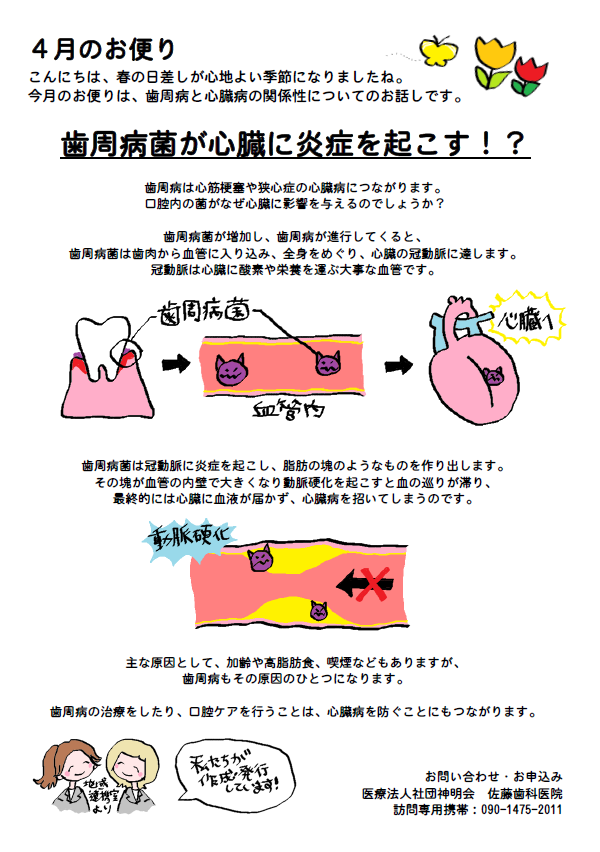 歯周病菌が心臓に炎症を起こす！？ | お便り