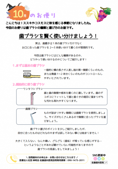 歯ブラシの種類と選び方 | お便り